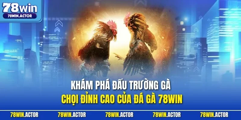 Khám phá đấu trường gà chọi đỉnh cao của đá gà 78WIN